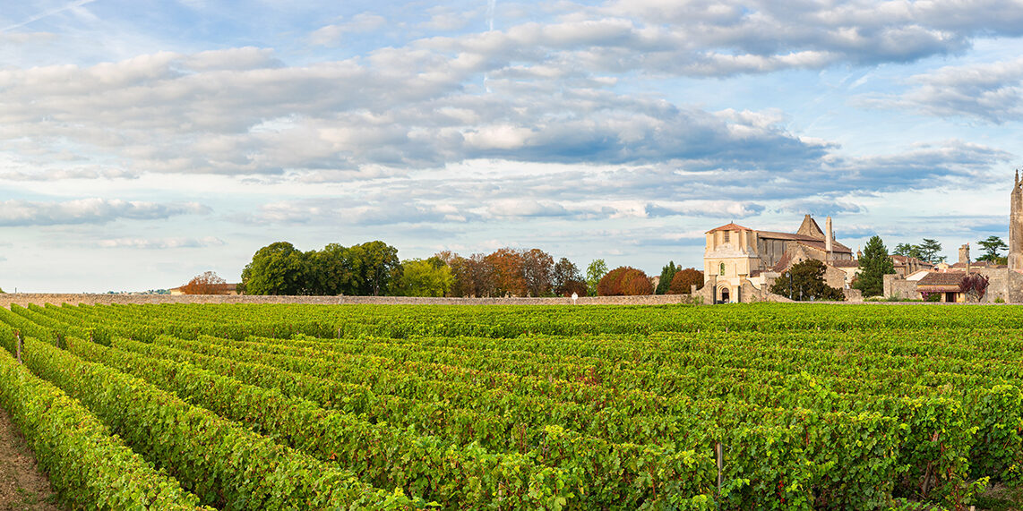 Panoramic view of vineyards of Saint Emilion, Bordeaux, Gironde, France. Medieval church in old town and rows of vine on a grape field. Wine industry